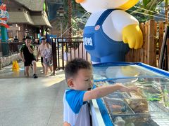 -青岛东方影都融创水世界