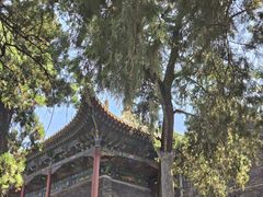 -关林