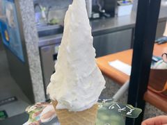 -野人先生Gelato(上海长宁龙之梦店)