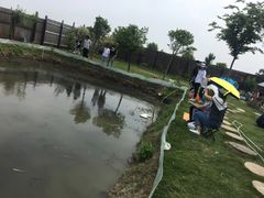 -南汇新场正宗水蜜桃采摘