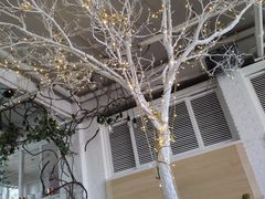 -水边(郯城店)