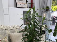 -雅仕康口腔