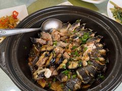 -阳江餐厅·30年老字号·粤菜海鲜大排档