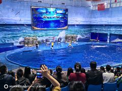 -多彩贵州城极地海洋世界