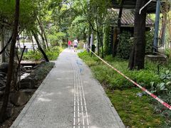 -成都市活水公园