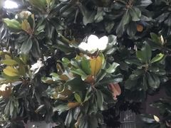 -必胜客(环球店)
