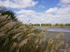 -亿利库布其七星湖沙漠生态旅游区