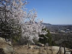 -白水寺森林公园