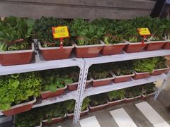 -捞围鲜·港式打边炉(海阳路店)