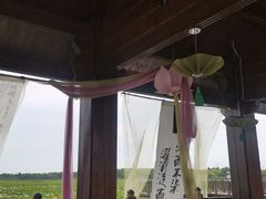 -天津东丽湖风景区