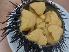 -海胆小馆(东北水饺·春柳店)