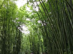-四洞沟景区