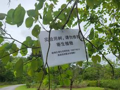 -中国科学院西双版纳热带植物园