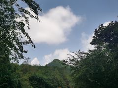 -江西阳明山国家森林公园