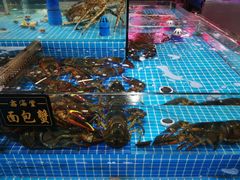 -塔湾北行农贸市场