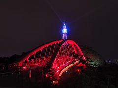 -金鸡山公园