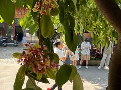 -西双版纳傣族园