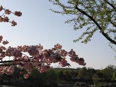 -新江湾城公园