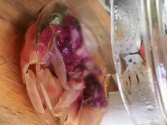 -喵屿·大理花园猫咖