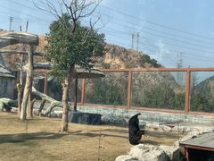 -深圳野生动物园