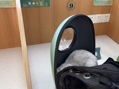 -联合动物医院(光谷诊疗中心)