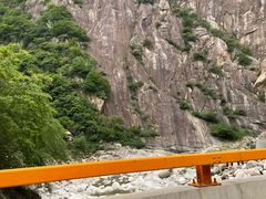 -王顺山国家森林公园