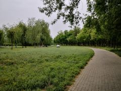 -东坝千亩湖公园