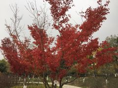-江南大学(蠡湖校区)
