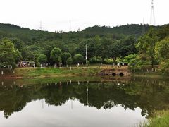 -凤岗南门山森林公园