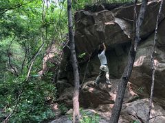 -大岭沟猕猴桃谷风景区