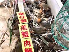 -南沙十九涌渔人码头-南门