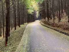 -山王坪喀斯特国家生态公园