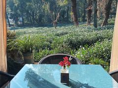 -野蔓果·山野菜(西湖景区·龙井茶田店)