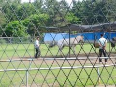 -长春市南湖公园