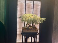 -东来顺·非遗火锅(赛格国际购物中心店)