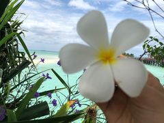 -卡帕莱度假村(西巴丹岛)