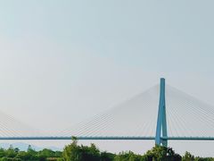 -芒洲湿地公园