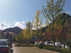 -关山草原