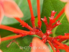 -视禾摄影培训(越秀区分部)