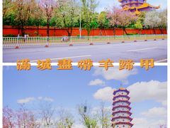 -宝龙广场(福州台江店)