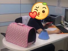 -中农国际动物医院24小时·猫科·骨科·急重症中心