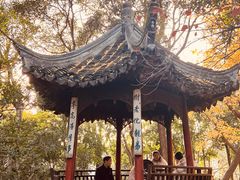-秋霞圃