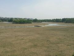 android_upload_pic-北京麋鹿生态实验中心