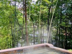 -花水湾第一村温泉大酒店