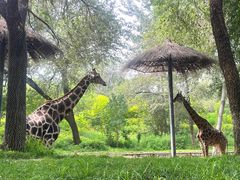 -北京野生动物园