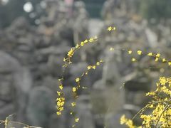 -北京市劳动人民文化宫