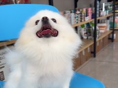 -佳雯宠物医院·皮肤科·内外科(春晓路分院)