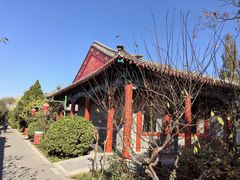-有喜胶东小馆(太申祥和店)