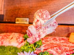 -MIKOMIKO和牛烧肉专门店(南门店)