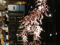 大堂-呷哺呷哺(华林国际店)